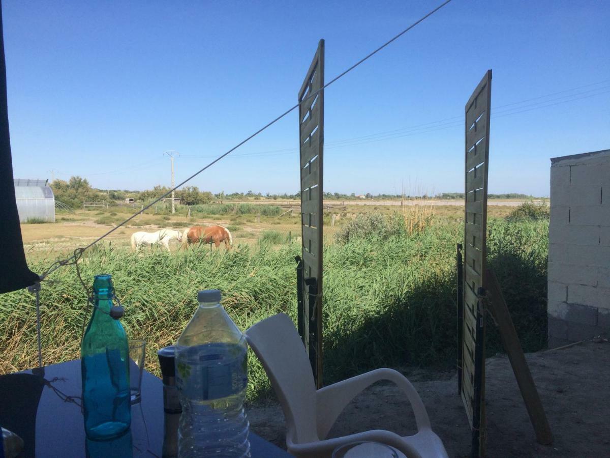 דירות סלון-דו-ז'ירו En Camargue מראה חיצוני תמונה