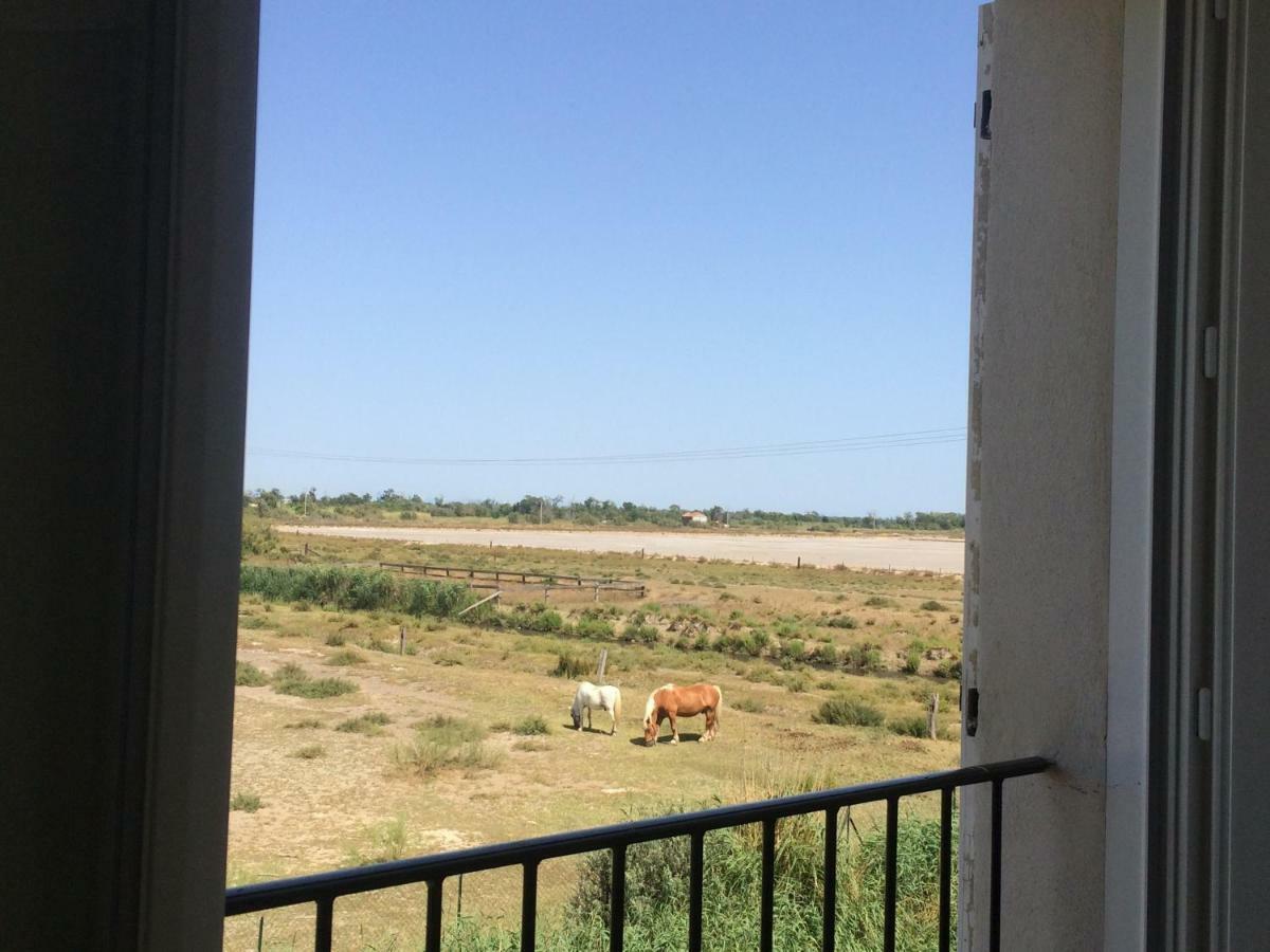 דירות סלון-דו-ז'ירו En Camargue מראה חיצוני תמונה